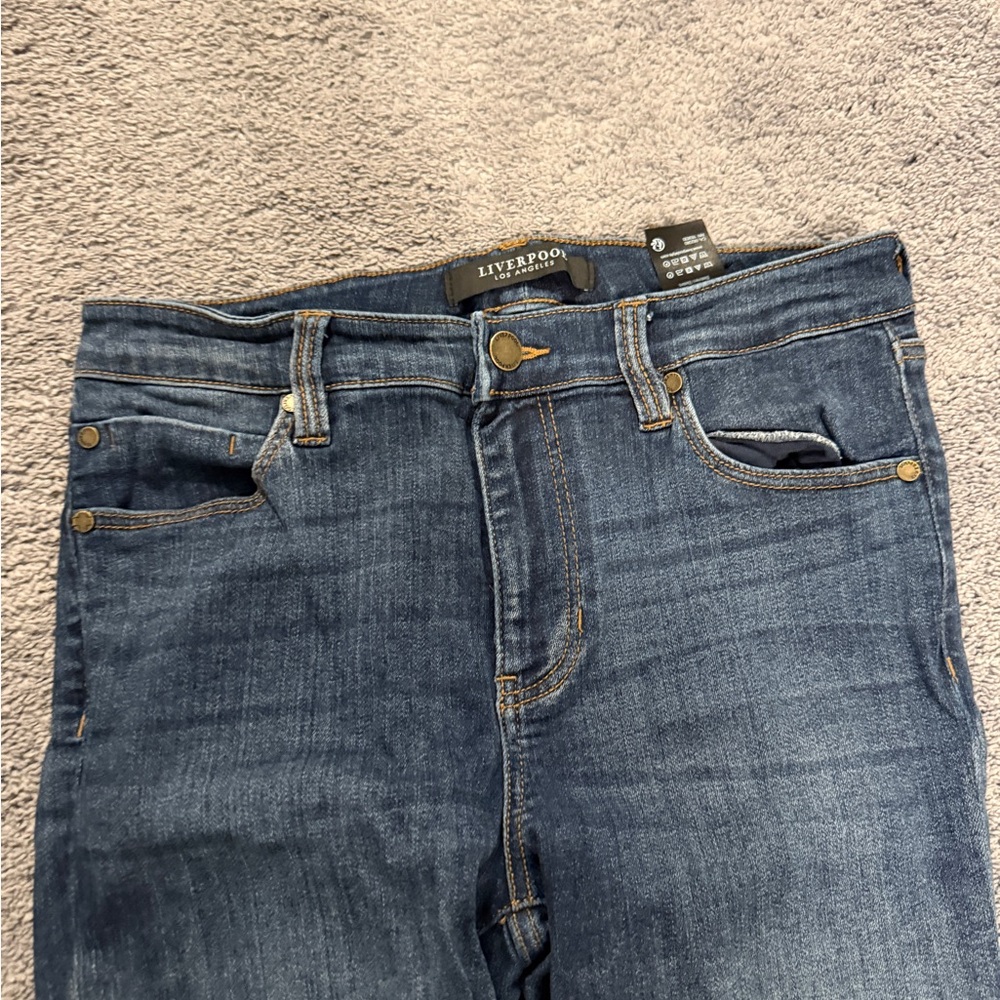 Liverpool Abby Skinny Skinny Jeans Size 8/29 Victory Dark Wash Stretch - Picture 2 of 16